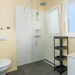 Pet Friendly In Nyaraló